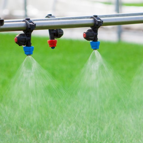 Foliar Spray - a complementary plant nutrition